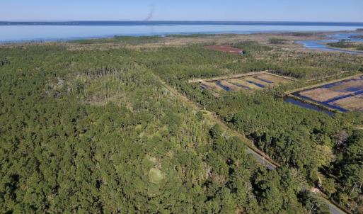 Photo #10 of SOLD property in Off Fulford Point Road , Lowland, NC 21.0 acres
