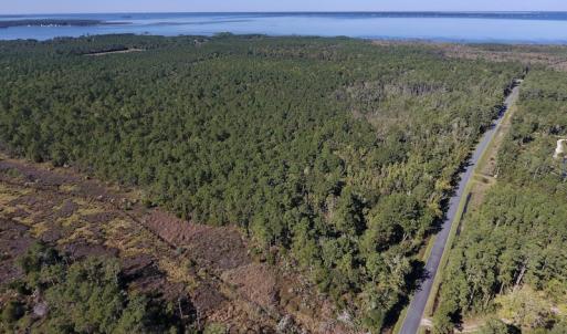 Photo #11 of SOLD property in Off Fulford Point Road , Lowland, NC 21.0 acres