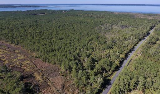 Photo #12 of SOLD property in Off Fulford Point Road , Lowland, NC 21.0 acres