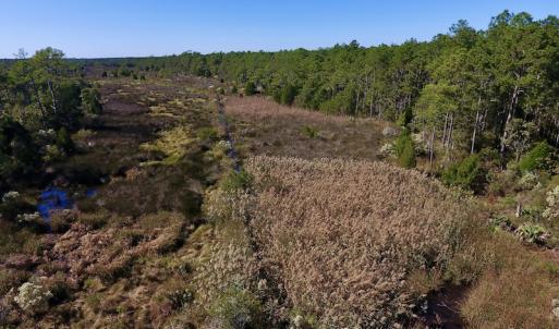 Photo #13 of SOLD property in Off Fulford Point Road , Lowland, NC 21.0 acres