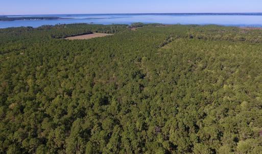Photo #15 of SOLD property in Off Fulford Point Road , Lowland, NC 21.0 acres