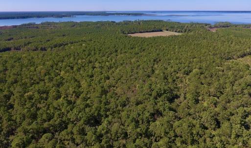 Photo #16 of SOLD property in Off Fulford Point Road , Lowland, NC 21.0 acres