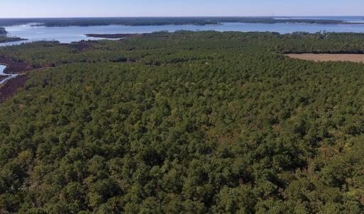 Photo #17 of SOLD property in Off Fulford Point Road , Lowland, NC 21.0 acres