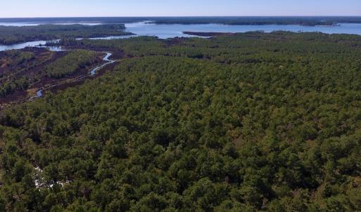 Photo #18 of SOLD property in Off Fulford Point Road , Lowland, NC 21.0 acres