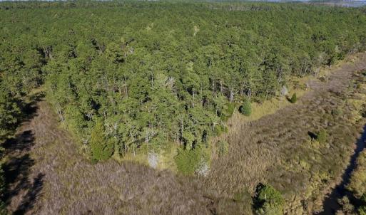 Photo #22 of SOLD property in Off Fulford Point Road , Lowland, NC 21.0 acres