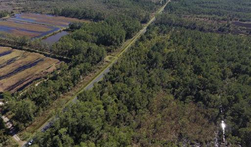 Photo #4 of SOLD property in Off Fulford Point Road , Lowland, NC 21.0 acres
