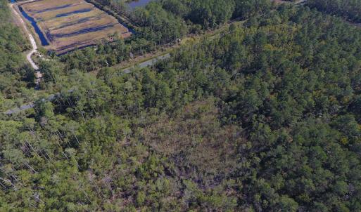 Photo #5 of SOLD property in Off Fulford Point Road , Lowland, NC 21.0 acres