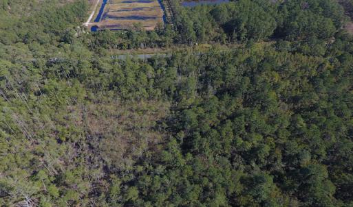 Photo #6 of SOLD property in Off Fulford Point Road , Lowland, NC 21.0 acres