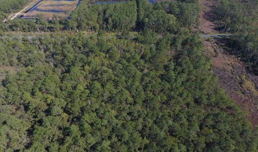 Photo #8 of SOLD property in Off Fulford Point Road , Lowland, NC 21.0 acres