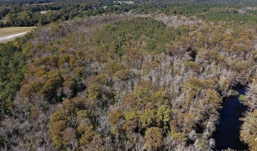 Photo #11 of SOLD property in Off Highway 264 and Lillie Lane, Pactolus, NC 79.9 acres