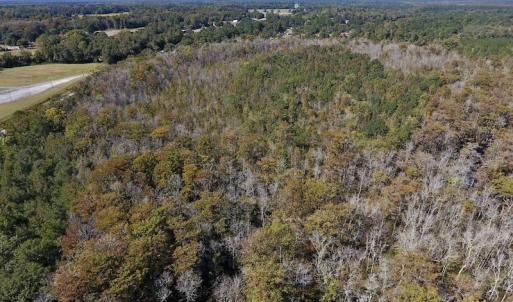 Photo #13 of SOLD property in Off Highway 264 and Lillie Lane, Pactolus, NC 79.9 acres