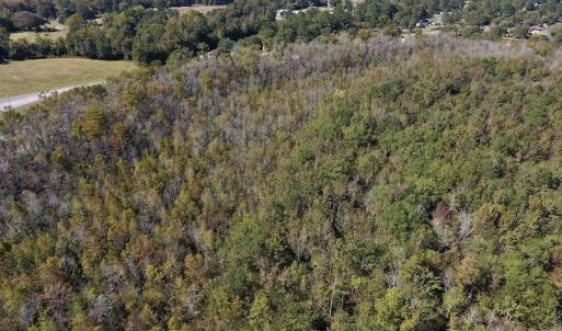Photo #14 of SOLD property in Off Highway 264 and Lillie Lane, Pactolus, NC 79.9 acres