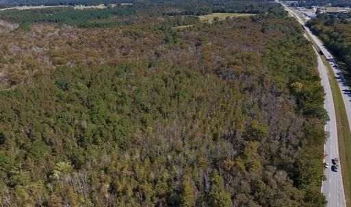 Photo #3 of SOLD property in Off Highway 264 and Lillie Lane, Pactolus, NC 79.9 acres