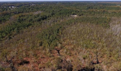 Photo #22 of SOLD property in Off Highway 264 and Lillie Lane, Pactolus, NC 79.9 acres