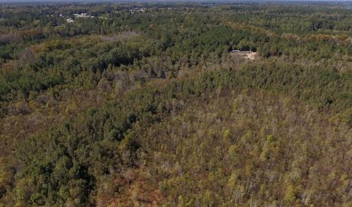 Photo #23 of SOLD property in Off Highway 264 and Lillie Lane, Pactolus, NC 79.9 acres