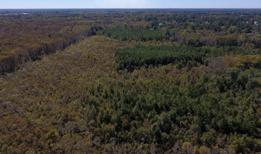 Photo #25 of SOLD property in Off Highway 264 and Lillie Lane, Pactolus, NC 79.9 acres