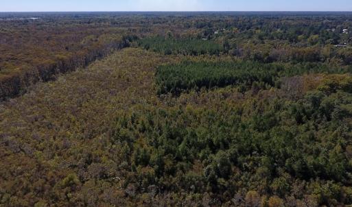 Photo #25 of SOLD property in Off Highway 264 and Lillie Lane, Pactolus, NC 79.9 acres