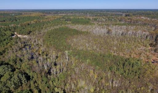 Photo #26 of SOLD property in Off Highway 264 and Lillie Lane, Pactolus, NC 79.9 acres
