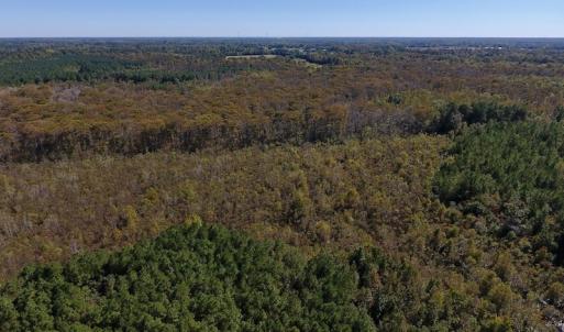 Photo #27 of SOLD property in Off Highway 264 and Lillie Lane, Pactolus, NC 79.9 acres