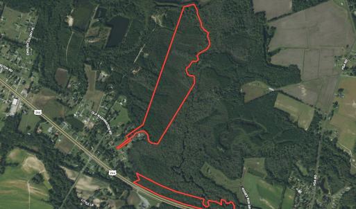 Photo #1 of SOLD property in Off Highway 264 and Lillie Lane, Pactolus, NC 79.9 acres