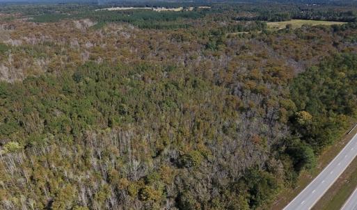 Photo #4 of SOLD property in Off Highway 264 and Lillie Lane, Pactolus, NC 79.9 acres