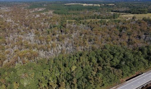 Photo #6 of SOLD property in Off Highway 264 and Lillie Lane, Pactolus, NC 79.9 acres