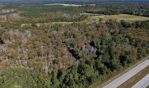 Photo #7 of SOLD property in Off Highway 264 and Lillie Lane, Pactolus, NC 79.9 acres
