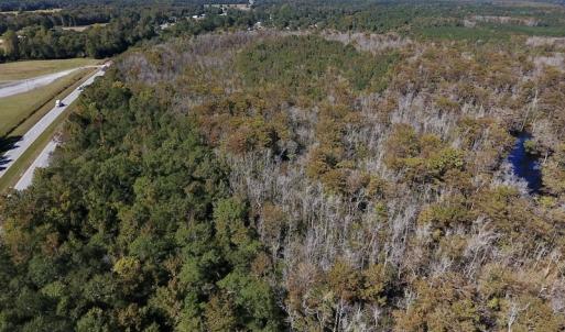 Photo #10 of SOLD property in Off Highway 264 and Lillie Lane, Pactolus, NC 79.9 acres