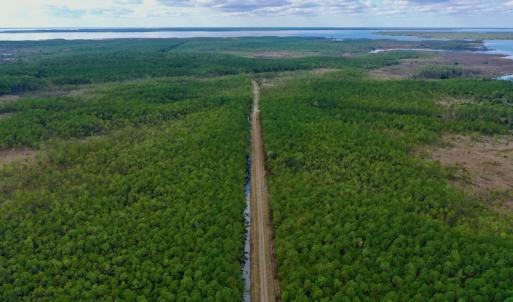 Photo #20 of SOLD property in Off Swindell Road, Scranton, NC 2,947.0 acres