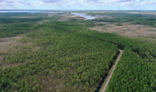 Photo #24 of SOLD property in Off Swindell Road, Scranton, NC 2,947.0 acres