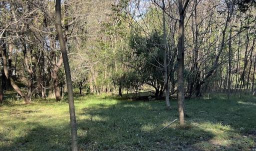 Photo #12 of SOLD property in Off Oliver Drive, Smithfield, VA 4.9 acres