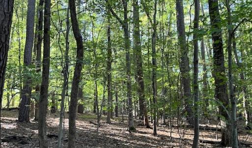 Photo #14 of SOLD property in Off Oliver Drive, Smithfield, VA 4.9 acres