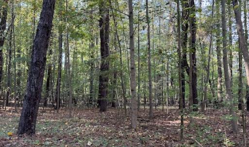 Photo #15 of SOLD property in Off Oliver Drive, Smithfield, VA 4.9 acres