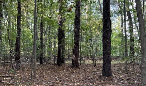 Photo #16 of SOLD property in Off Oliver Drive, Smithfield, VA 4.9 acres