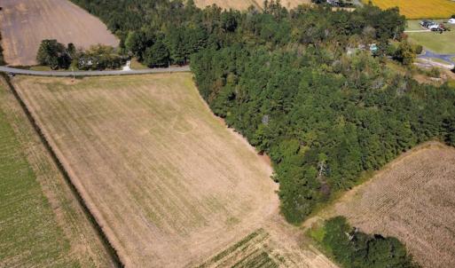 Photo #3 of SOLD property in Off Norton Road, Green Sea, SC 18.5 acres