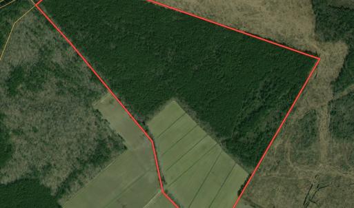 Photo #1 of SOLD property in Off Hwy 343 North, Camden, NC 120.0 acres
