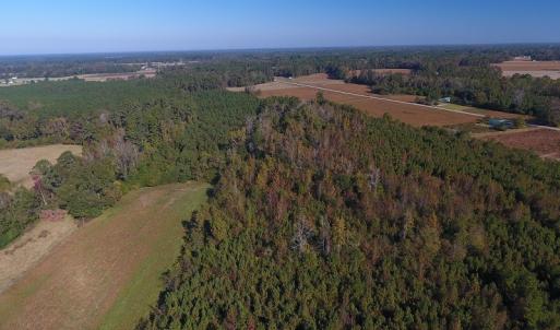 Photo #10 of SOLD property in Off Kemper Church Road, Lake View, SC 36.6 acres