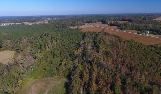 Photo #11 of SOLD property in Off Kemper Church Road, Lake View, SC 36.6 acres