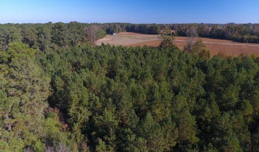 Photo #13 of SOLD property in Off Kemper Church Road, Lake View, SC 36.6 acres