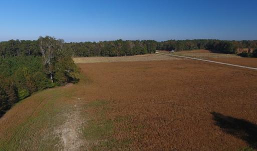 Photo #2 of SOLD property in Off Kemper Church Road, Lake View, SC 36.6 acres