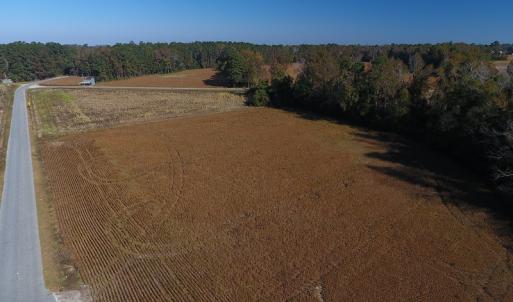 Photo #3 of SOLD property in Off Kemper Church Road, Lake View, SC 36.6 acres