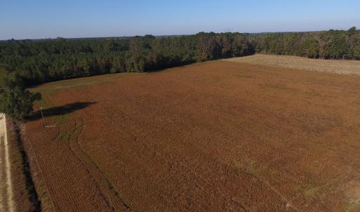 Photo #4 of SOLD property in Off Kemper Church Road, Lake View, SC 36.6 acres