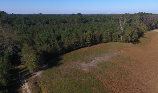 Photo #5 of SOLD property in Off Kemper Church Road, Lake View, SC 36.6 acres
