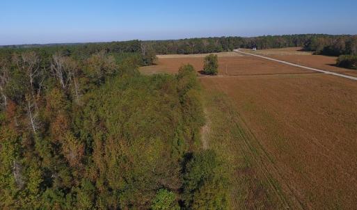 Photo #6 of SOLD property in Off Kemper Church Road, Lake View, SC 36.6 acres