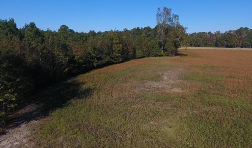 Photo #8 of SOLD property in Off Kemper Church Road, Lake View, SC 36.6 acres