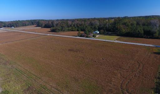 Photo #9 of SOLD property in Off Kemper Church Road, Lake View, SC 36.6 acres