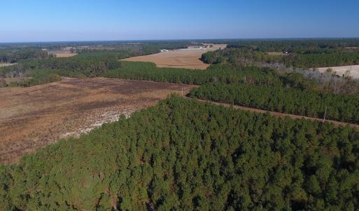 Photo #10 of Off Highway 41 South, Lake View, SC 76.4 acres