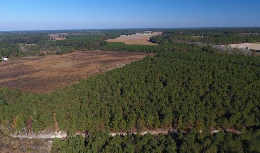 Photo #11 of Off Highway 41 South, Lake View, SC 76.4 acres