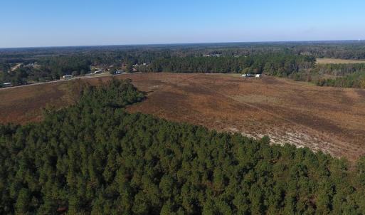 Photo #2 of Off Highway 41 South, Lake View, SC 76.4 acres