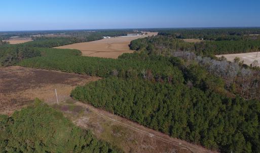 Photo #7 of Off Highway 41 South, Lake View, SC 76.4 acres